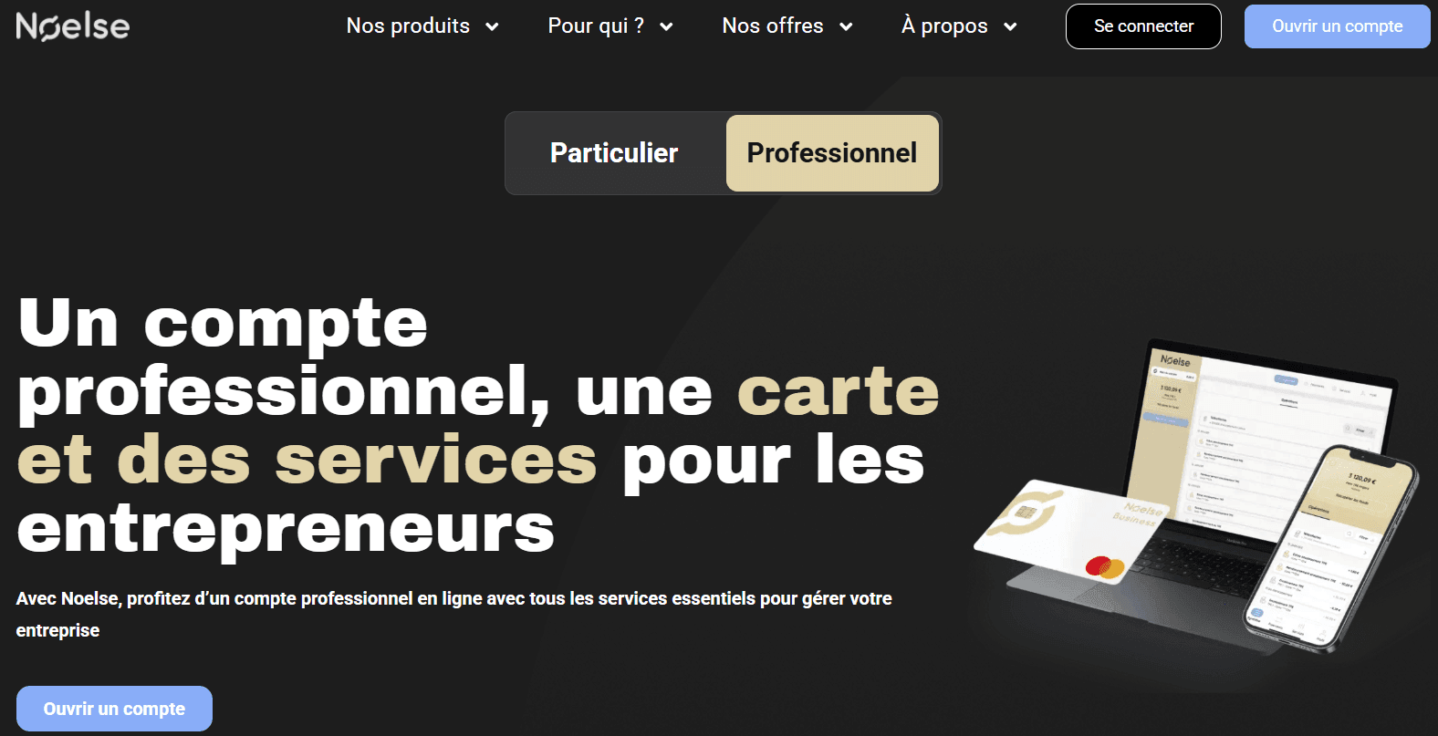 noelse article de blog (1).png